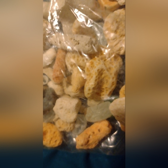 Corals and Beach Gems - Picture 3 of 7